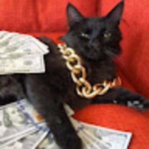 Meet your Posher, Roberto